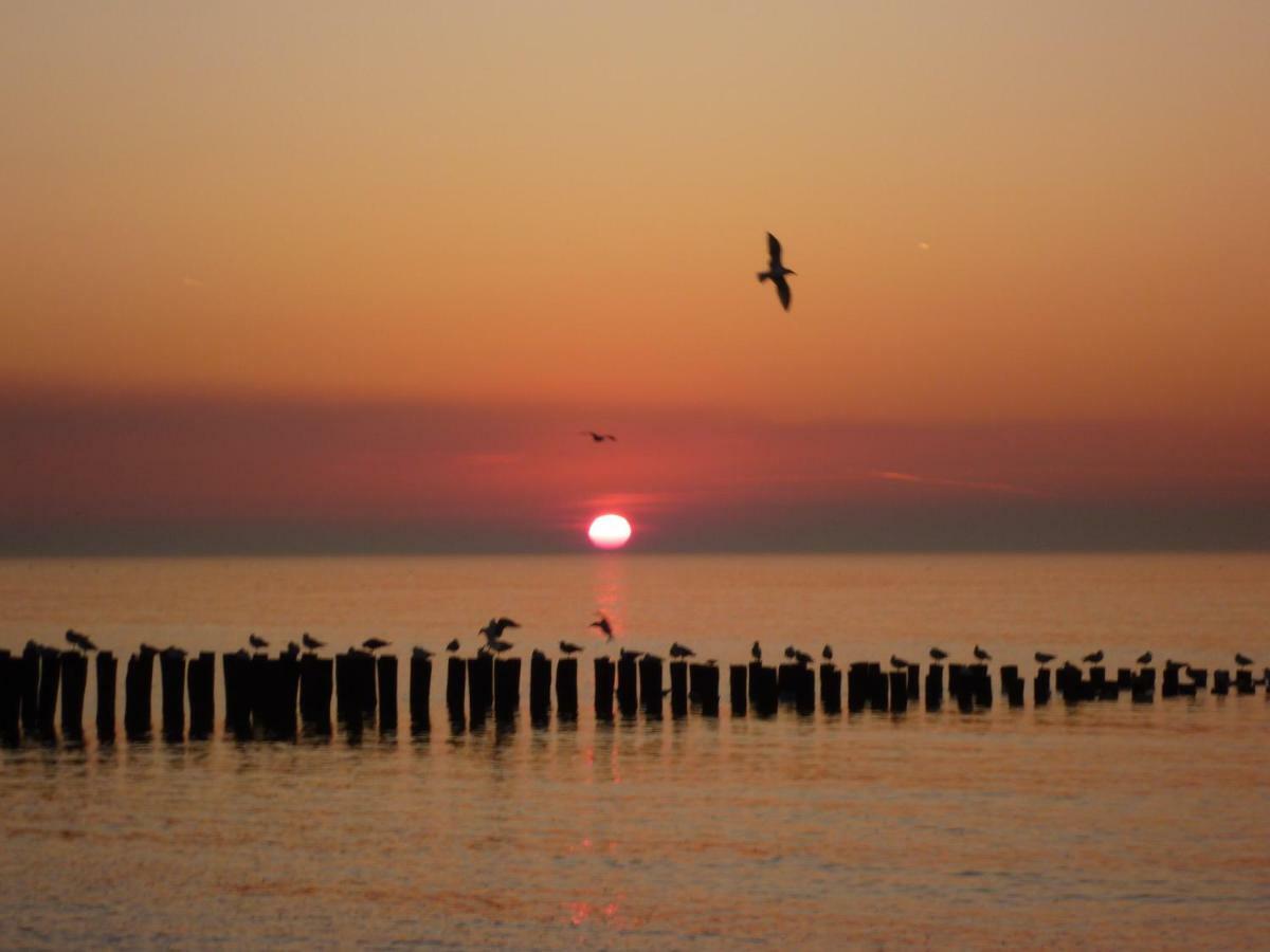 Knusse Vakantiewoning Domburg Do04 Zewnętrze zdjęcie